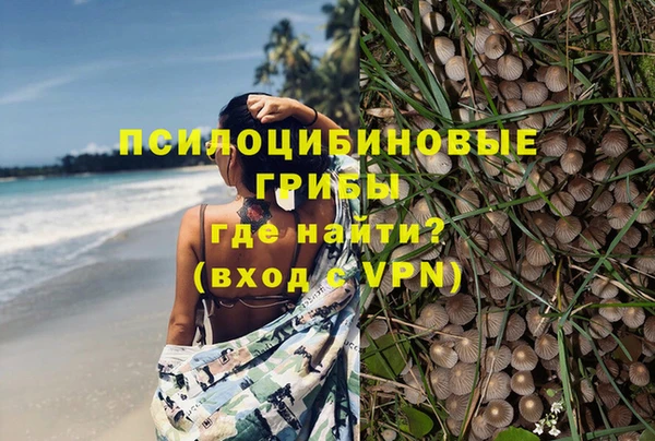 mdpv Краснослободск